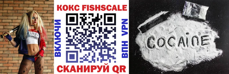 Кокаин Fish Scale  сайты даркнета как зайти  Торопец  kraken маркетплейс 