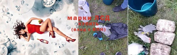 трава Беломорск